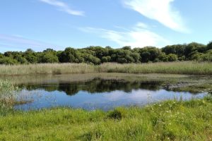 Laguna de A Bodeira