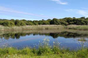 Laguna de A Bodeira. Foto: Lameiro (CC BY-SA 4.0, Wikimedia Commons)